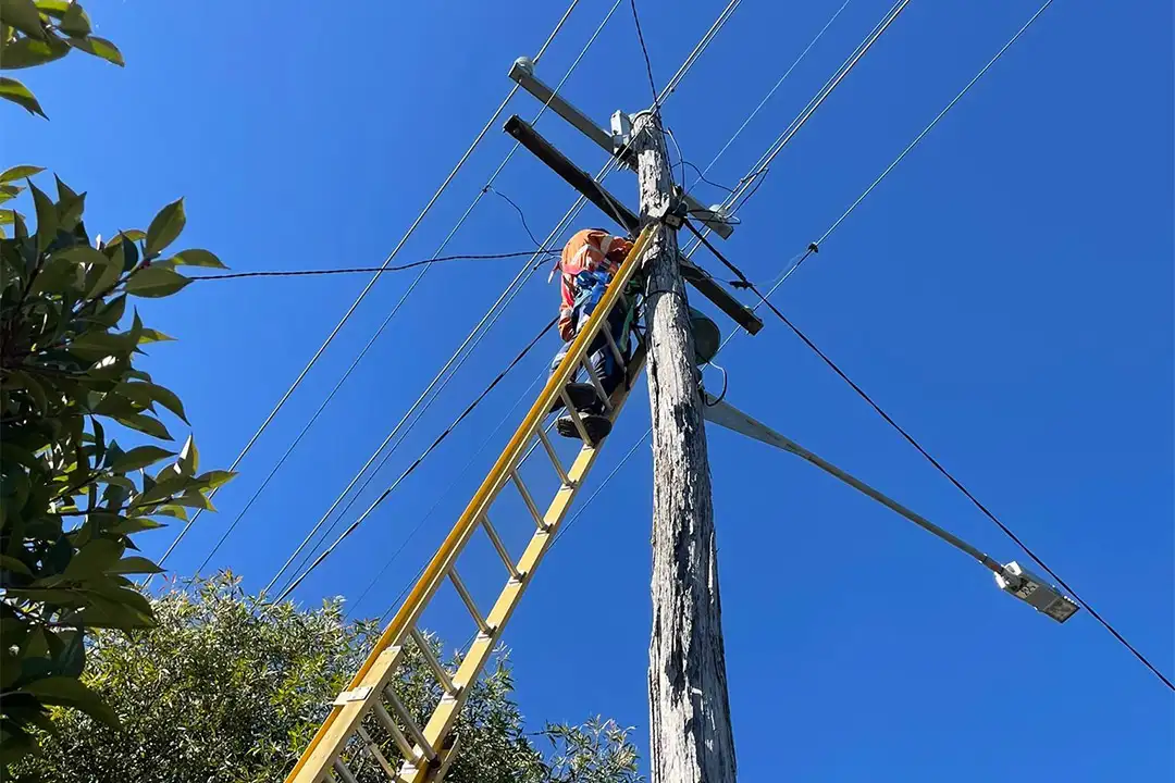 Level 2 Albury Level 2 Albury
